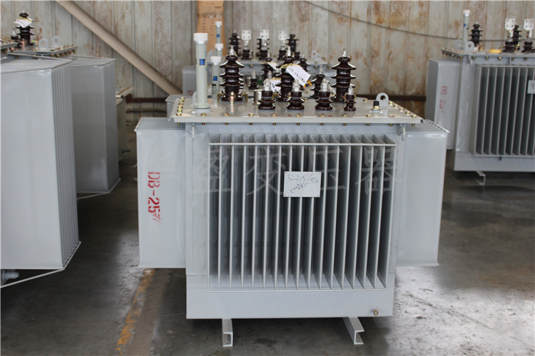 酒泉S20-800kVA/10kV/0.4kV变压器